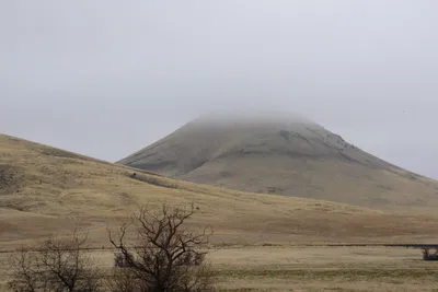 DSC_3144 (Large).JPG